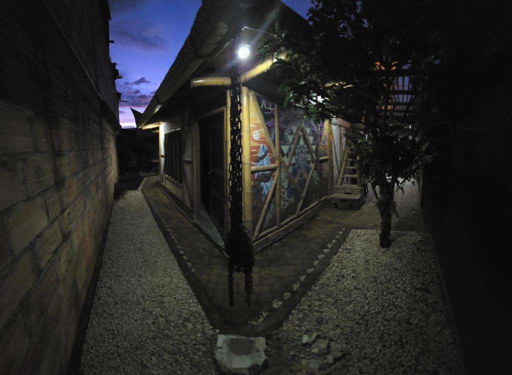 QINTI QUETZAL photo 2