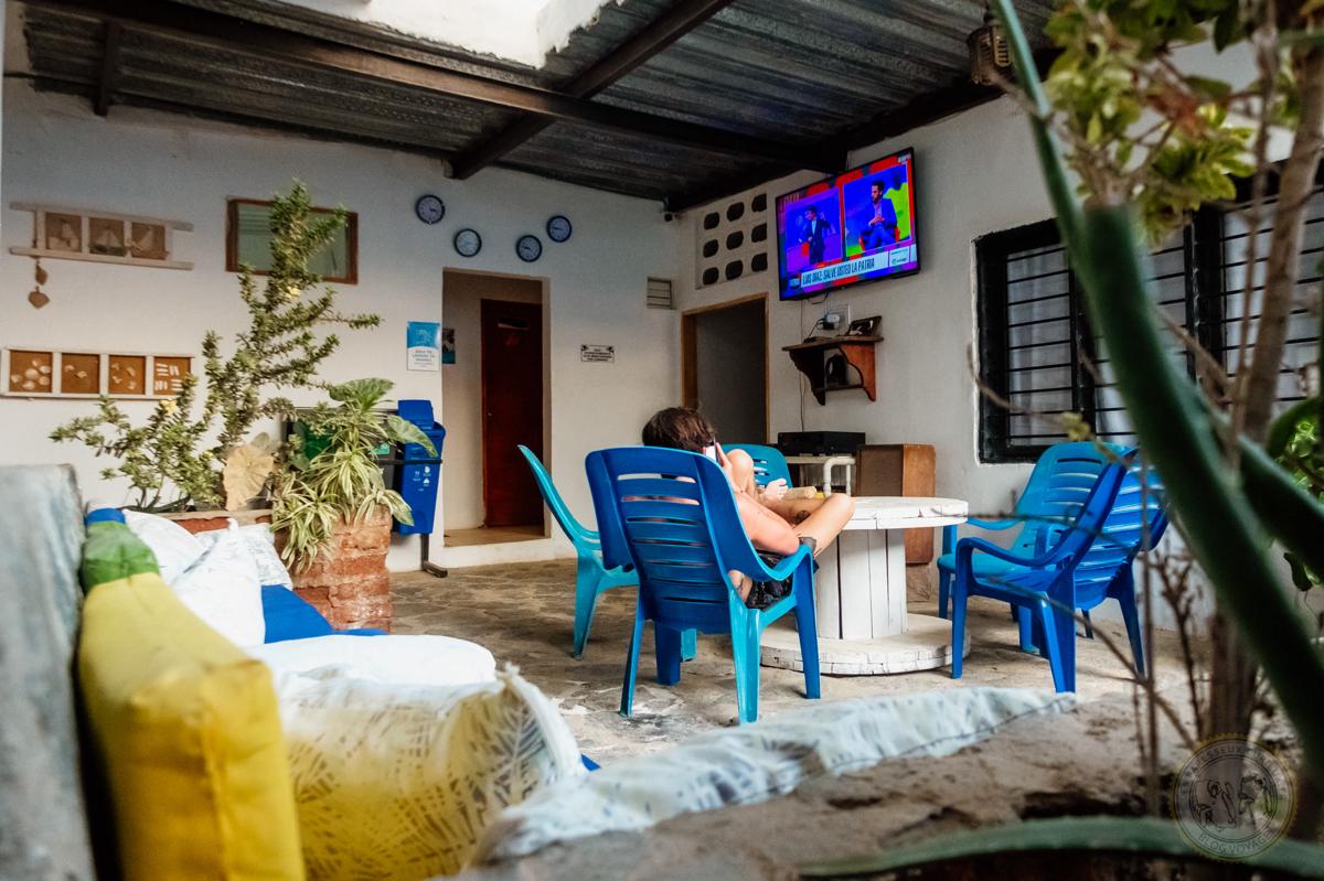 Hostal Palohe Taganga photo 4
