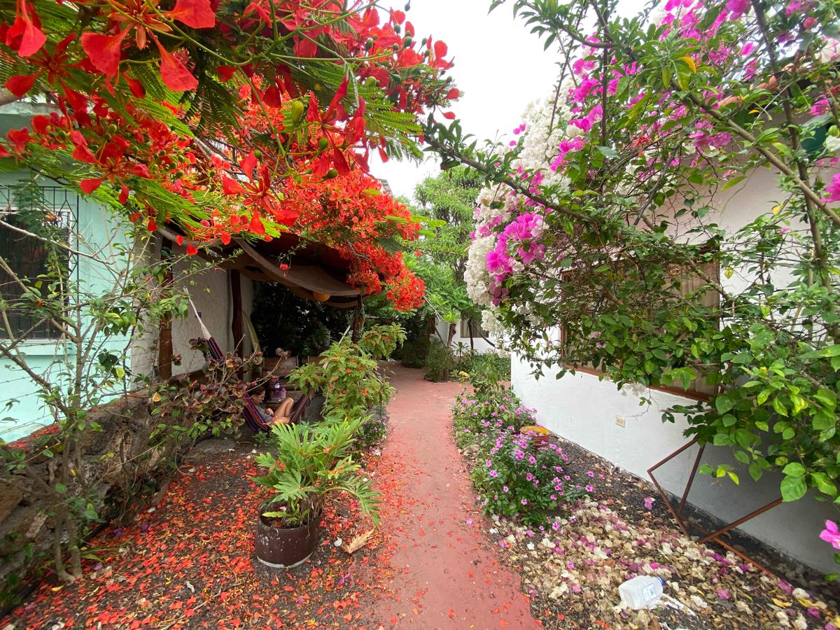Hostal Vista al Mar photo 3
