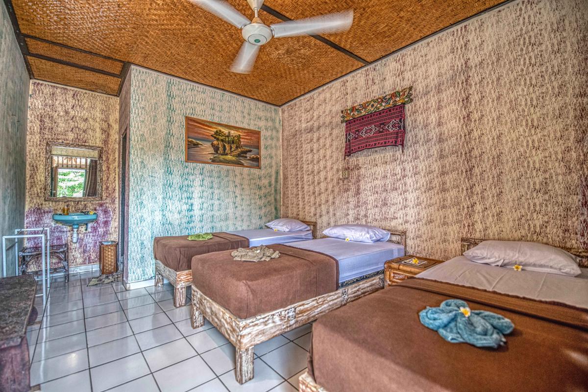 Lovina Central Hostel photo 3
