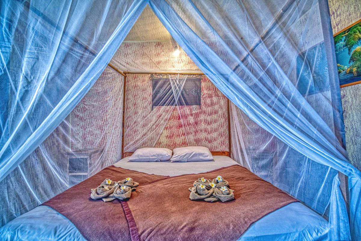 Lovina Central Hostel photo 4