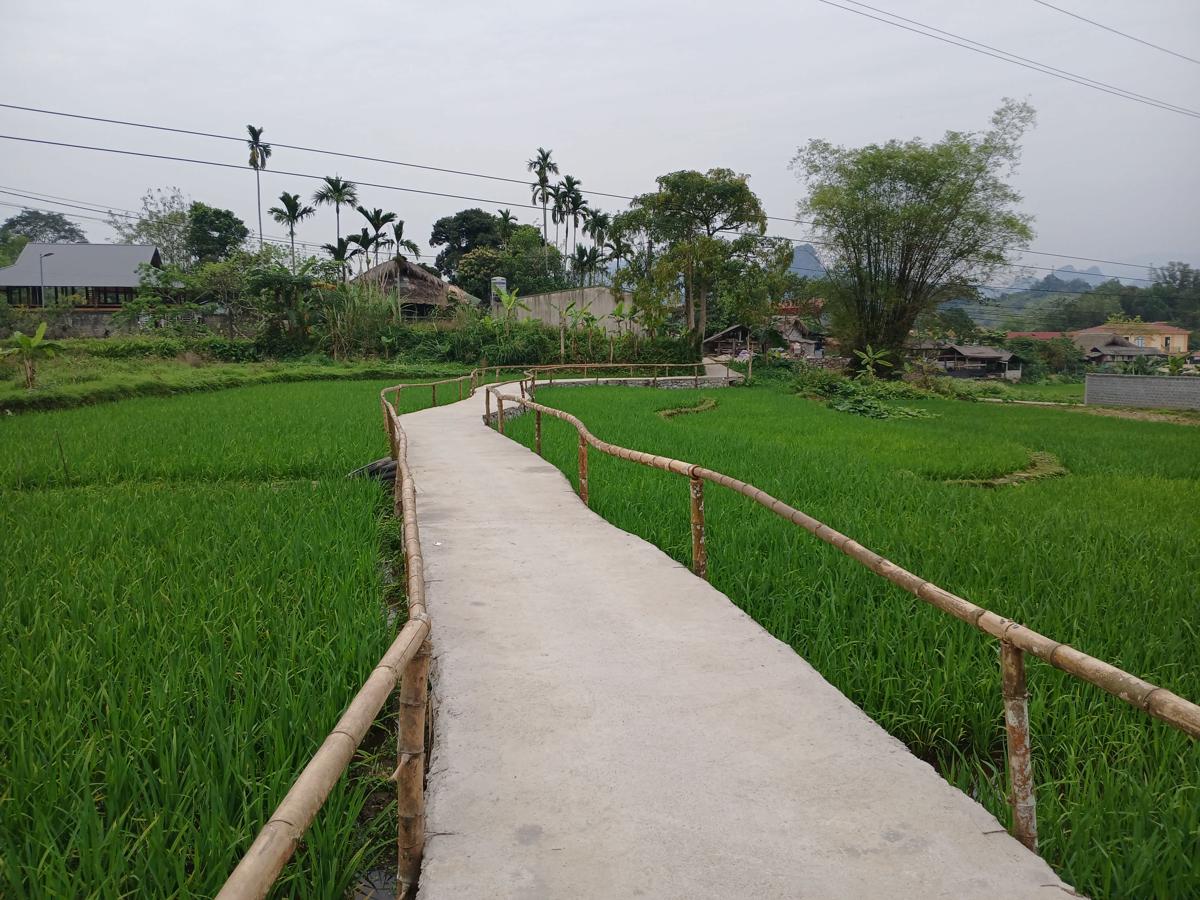 Little Tay Village Homestay photo 4