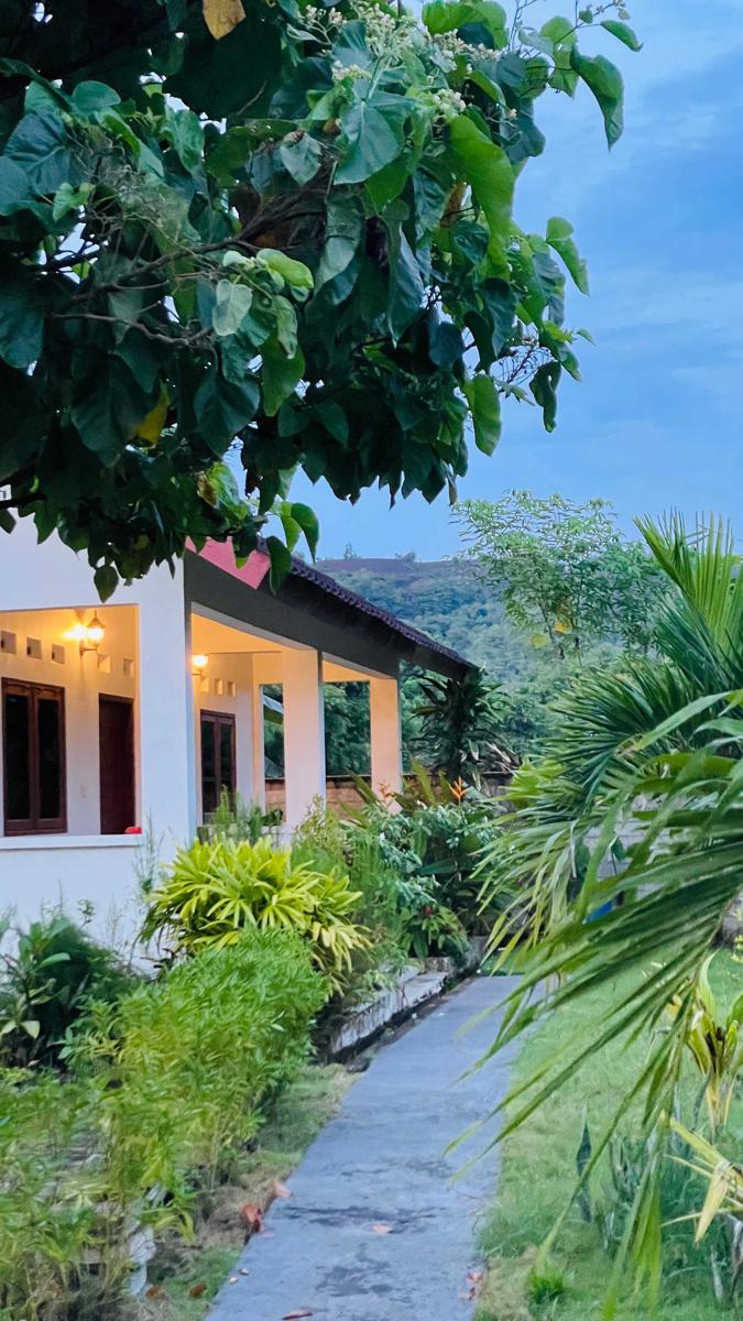 Singon Lombok Homesstay and Surf photo 4