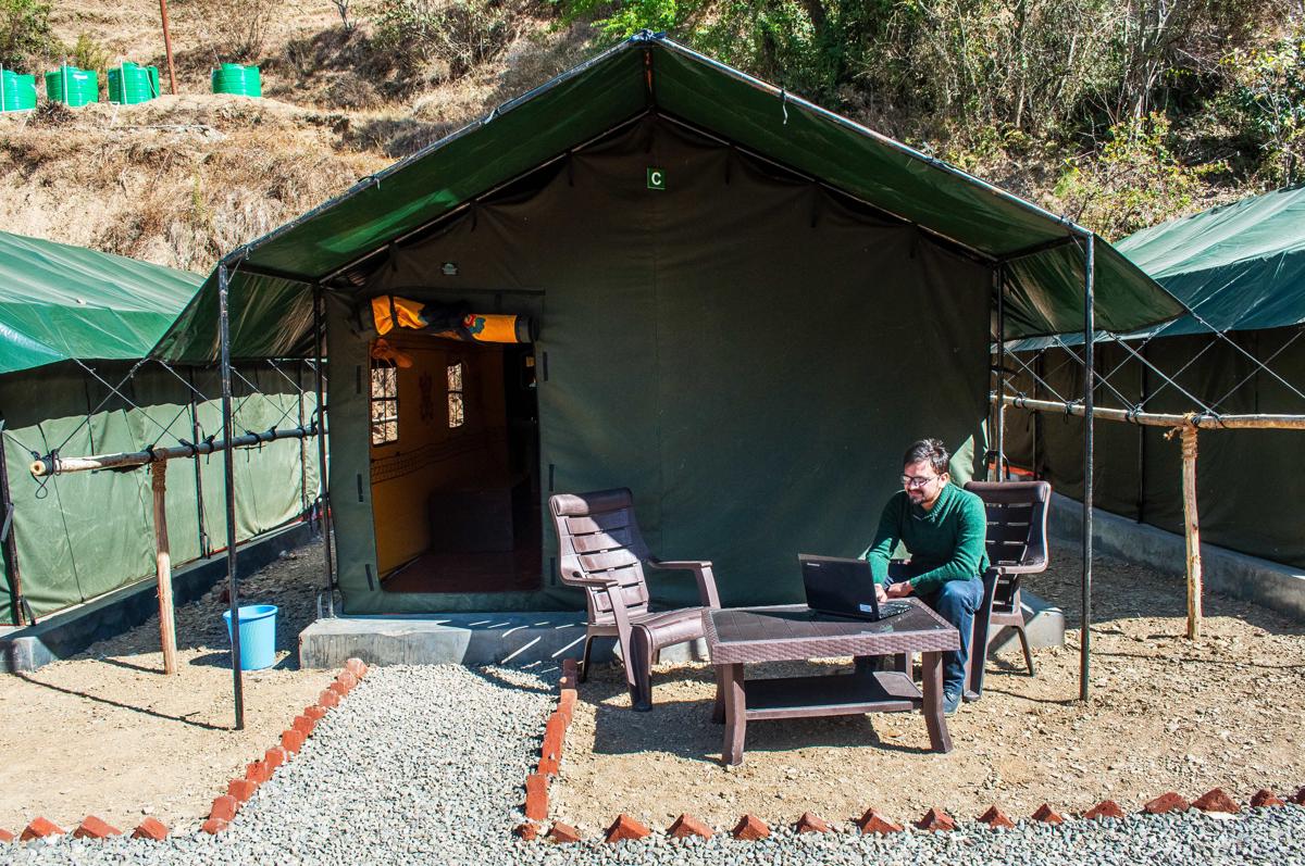 Jungle Stays photo 2