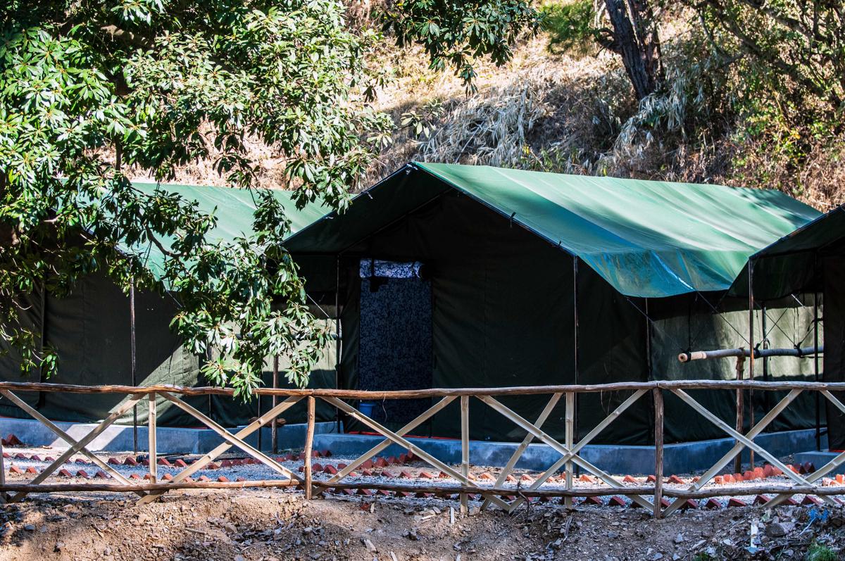 Jungle Stays photo 3
