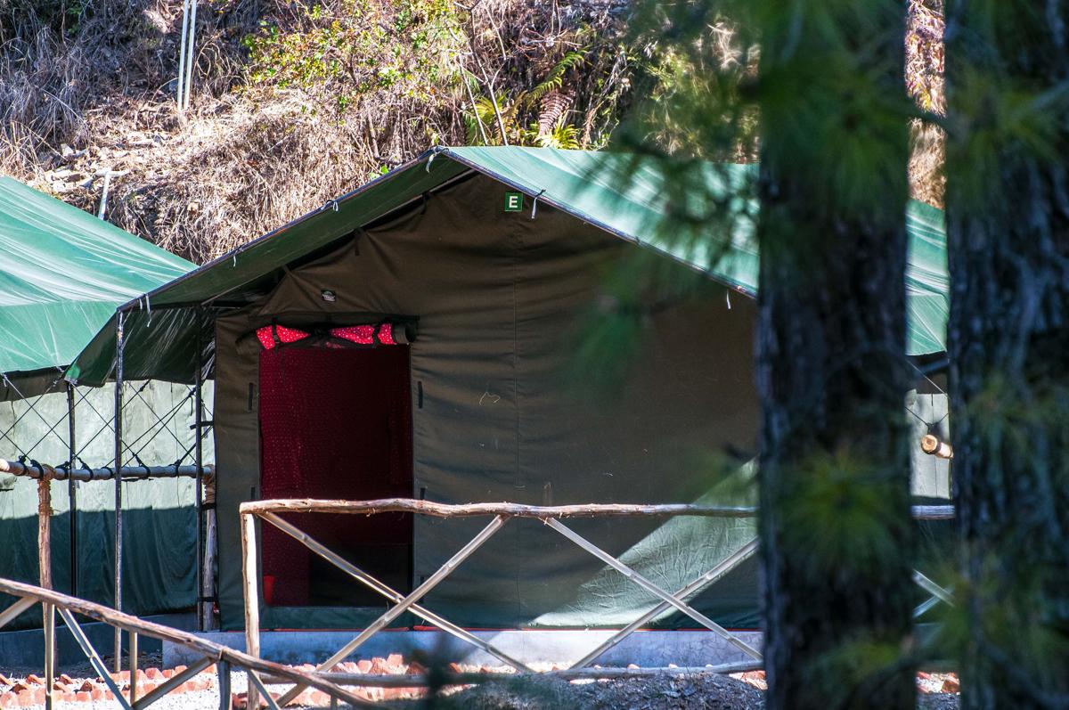 Jungle Stays photo 4
