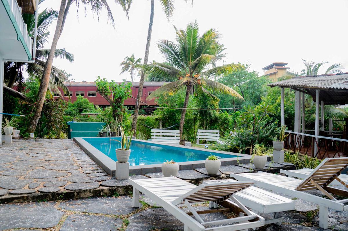 Asanka Surf House & Resturant photo 1