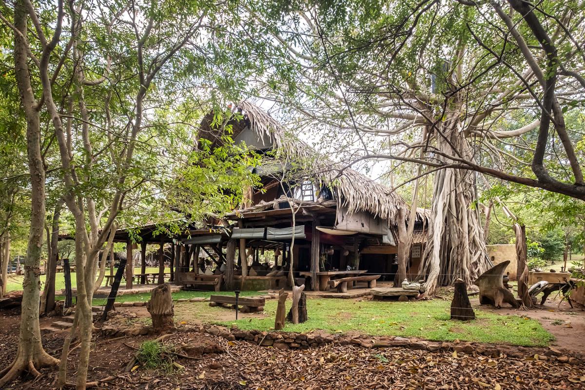 Banyan Camp Hambegamuwa photo 1