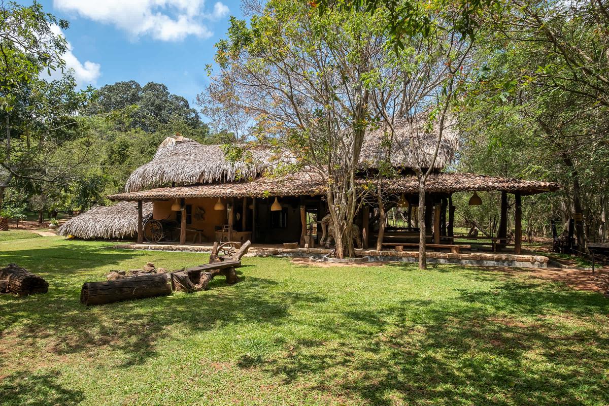 Banyan Camp Hambegamuwa photo 2