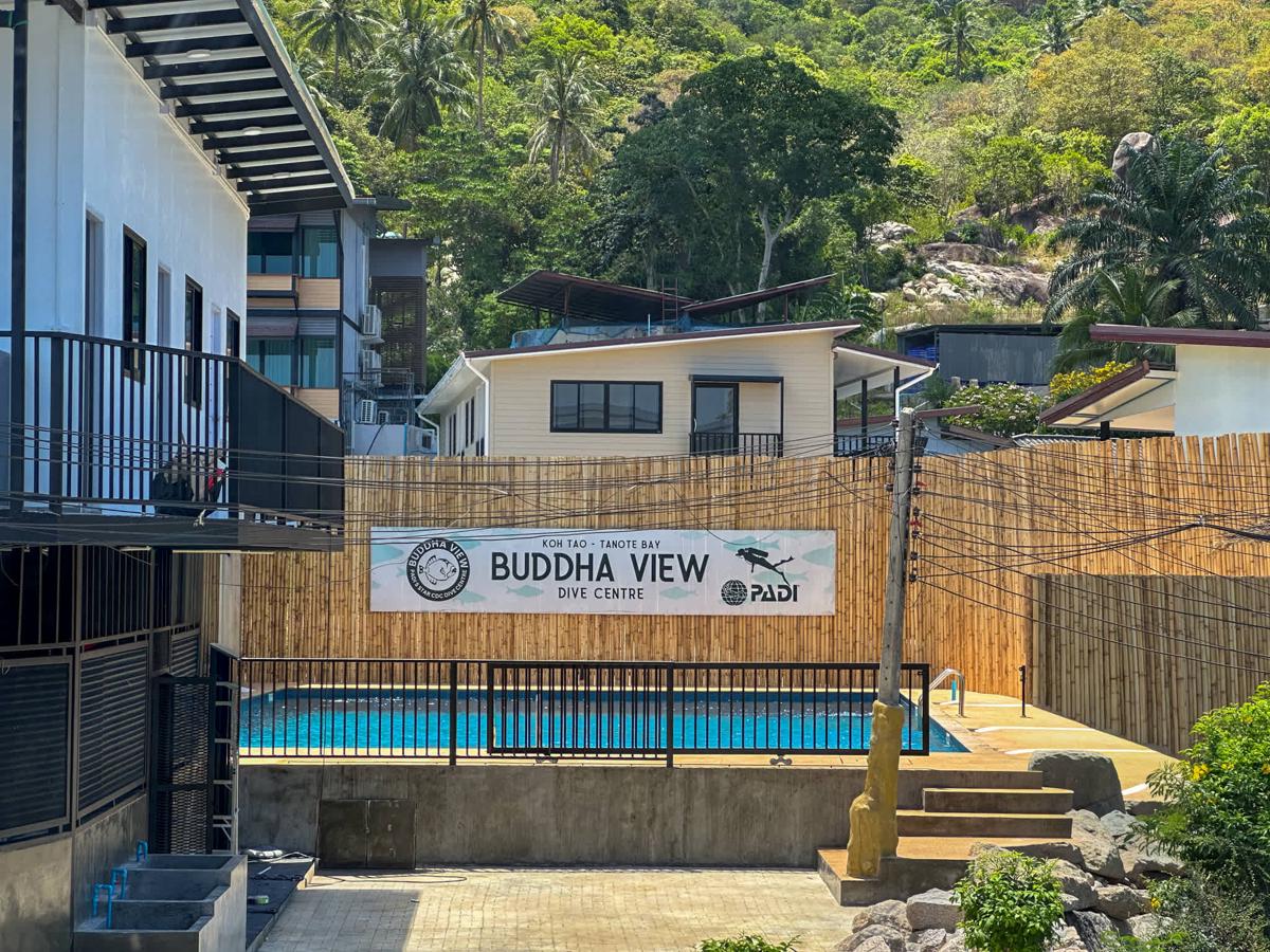 Buddha View Hostel & Dive Centre photo 3