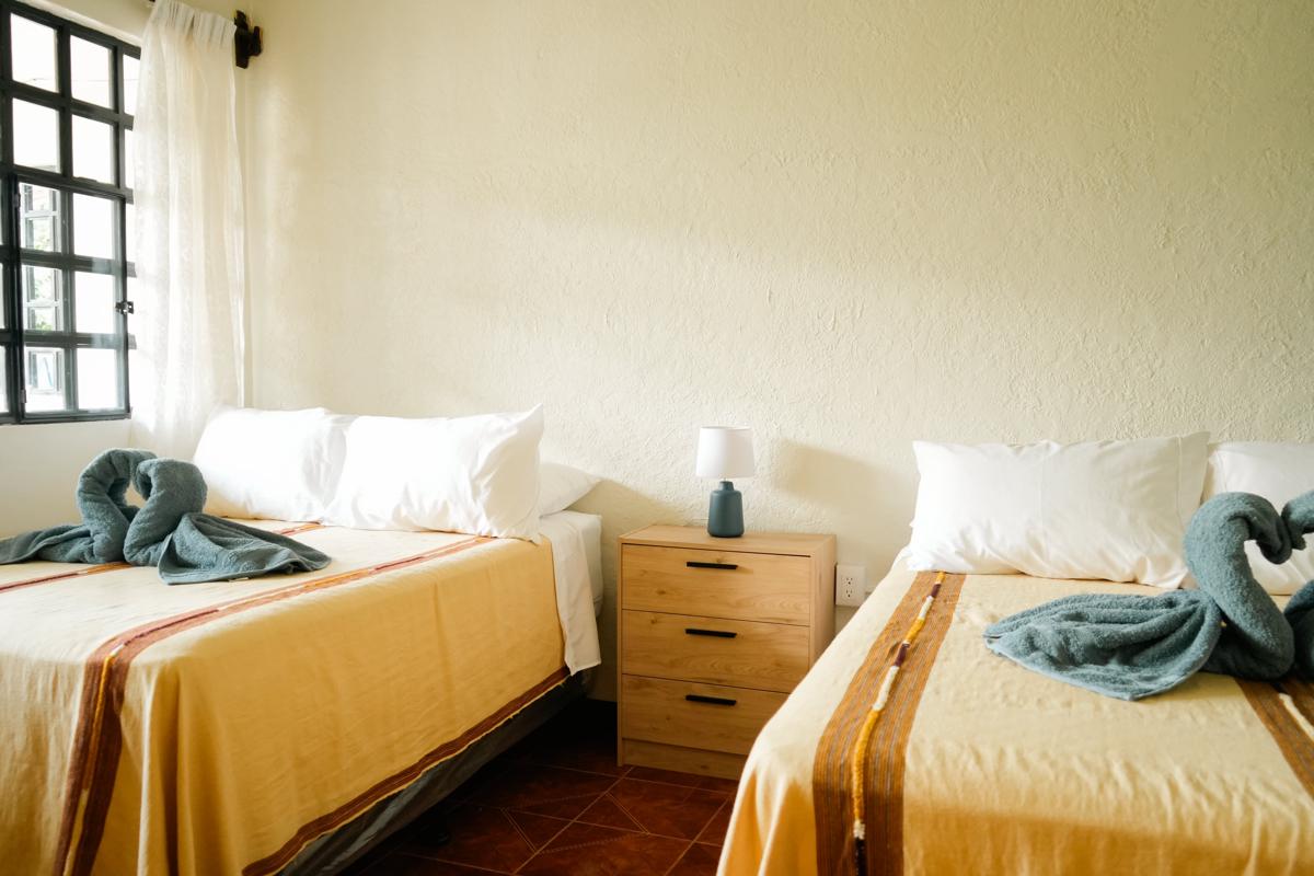 Hostal Casa Ale photo 3
