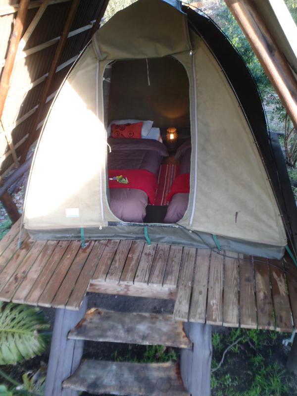 Tube 'n Axe Backpackers Lodge photo 4