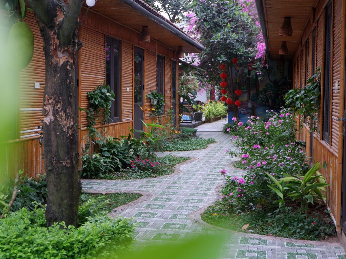 Tam Coc Viet Ha Homestay photo 1