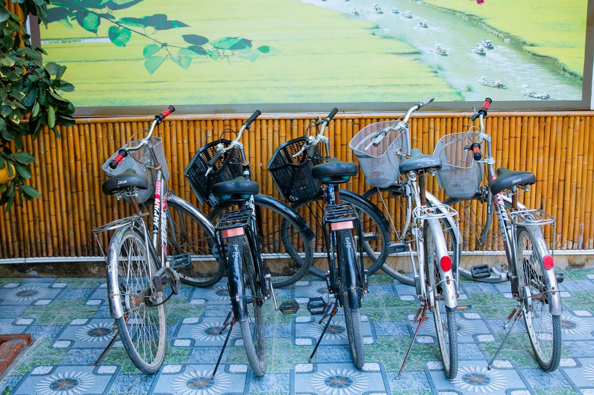 Tam Coc Viet Ha Homestay photo 4