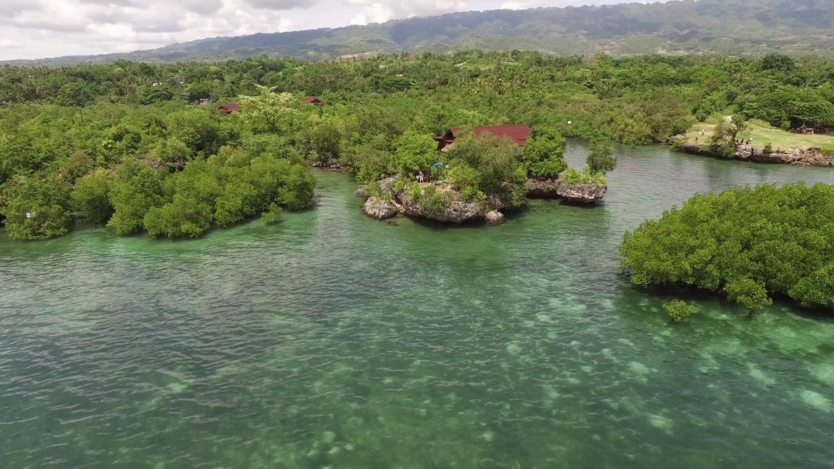 Eskapo Verde Lodge Moalboal photo 2