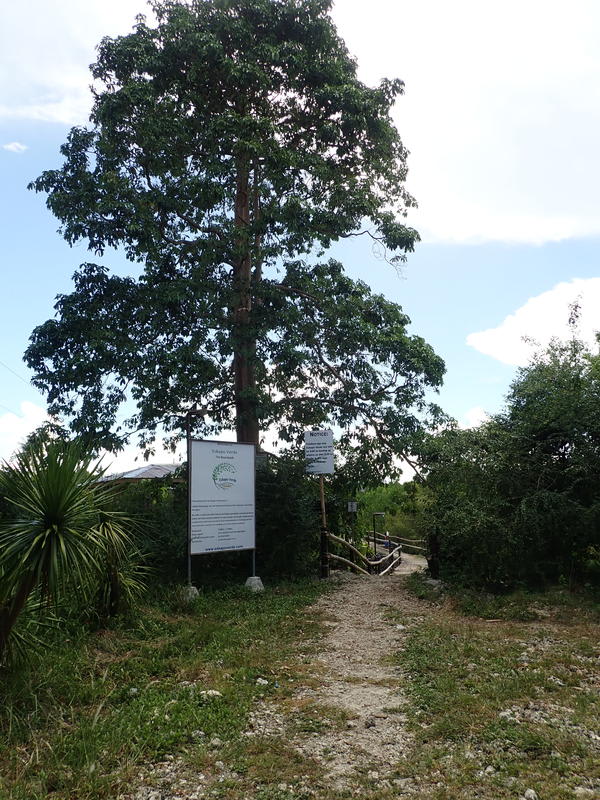 Eskapo Verde Lodge Moalboal photo 3