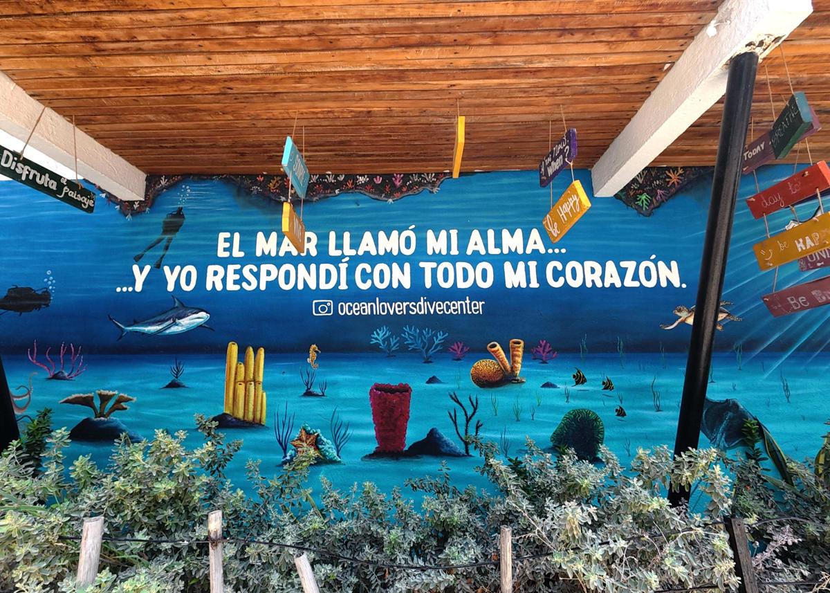 Ocean Lovers Taganga - PADI Dive Center & Hostel photo 2