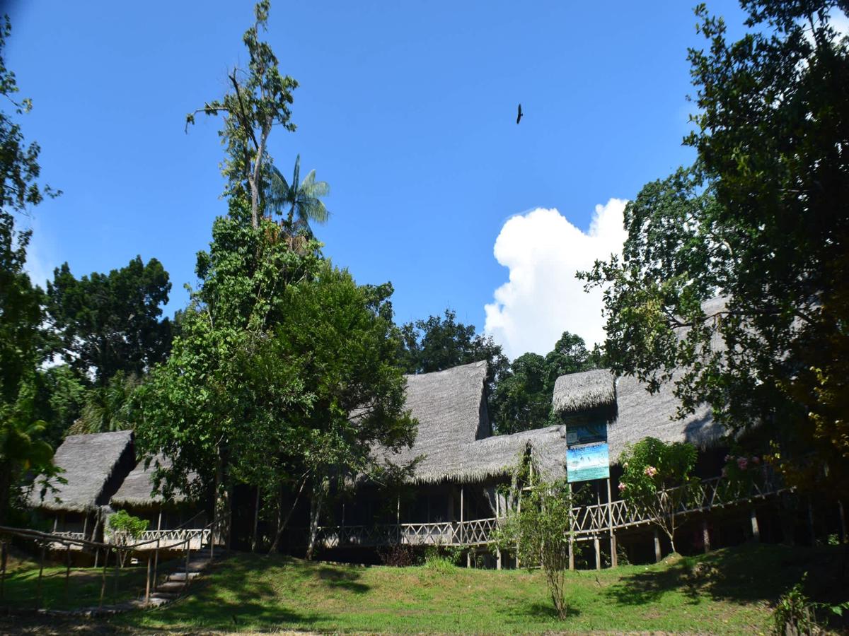 Jungle Wolf Expeditions Lodge & Tours Iquitos photo 1