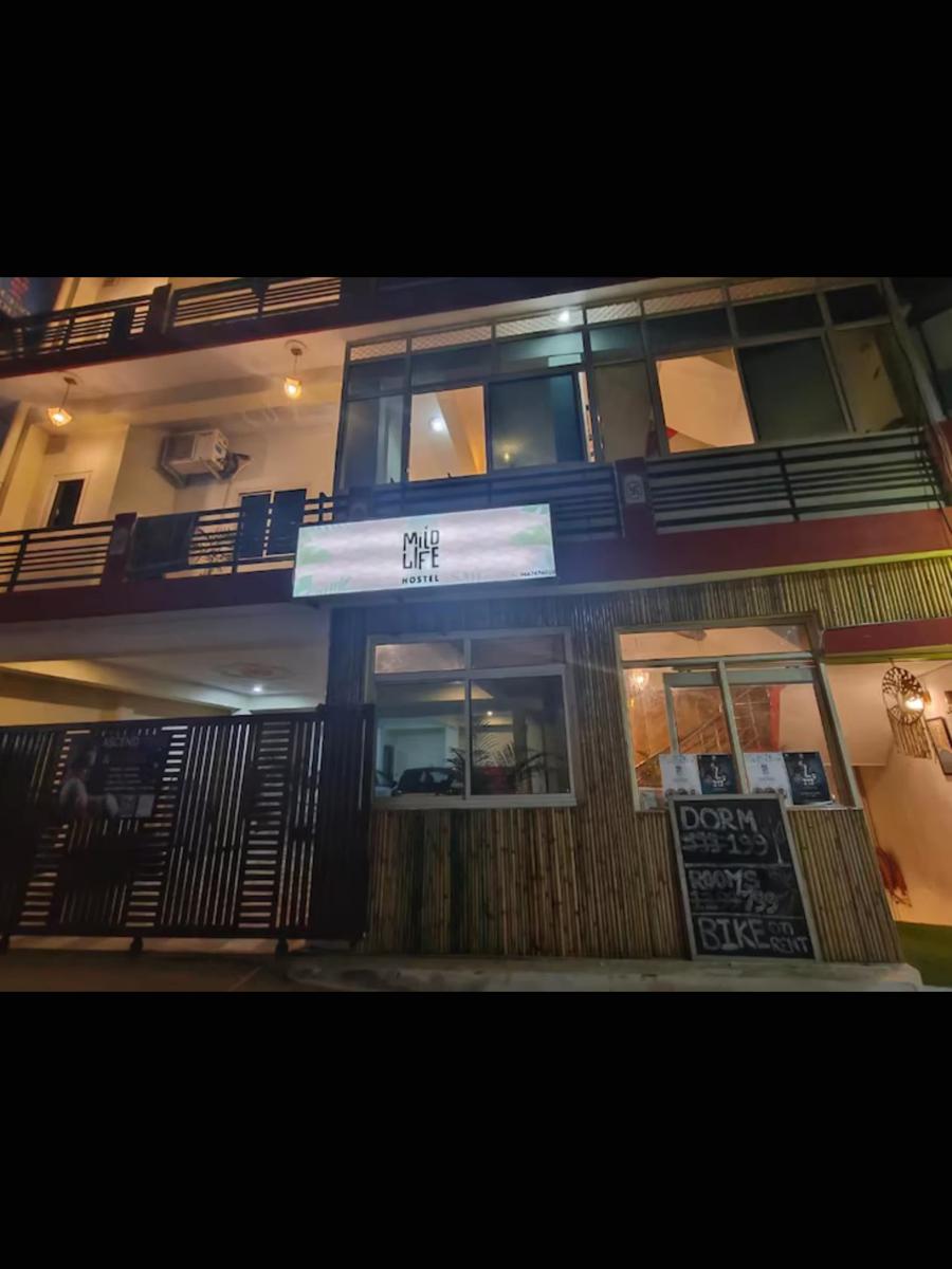 Mild Life Hostel photo 1