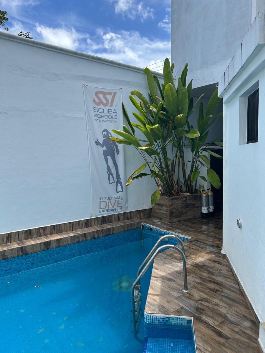 Cozumel's Scuba & Freediving Hostel photo 1