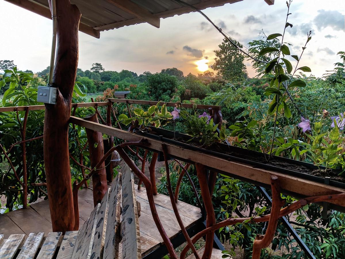 Elegant Elephant Hostel Sigiriya photo 1