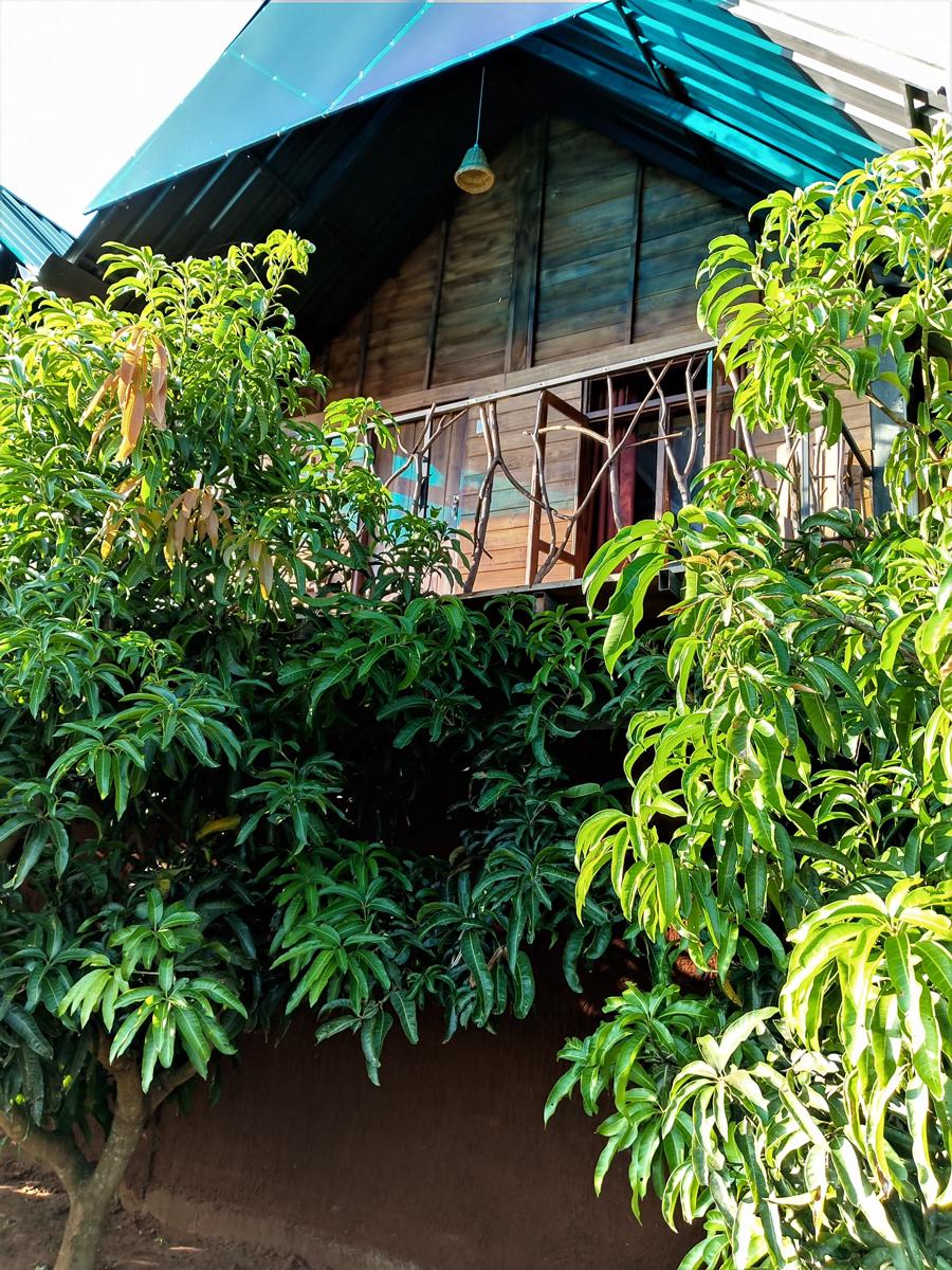 Elegant Elephant Hostel Sigiriya photo 2
