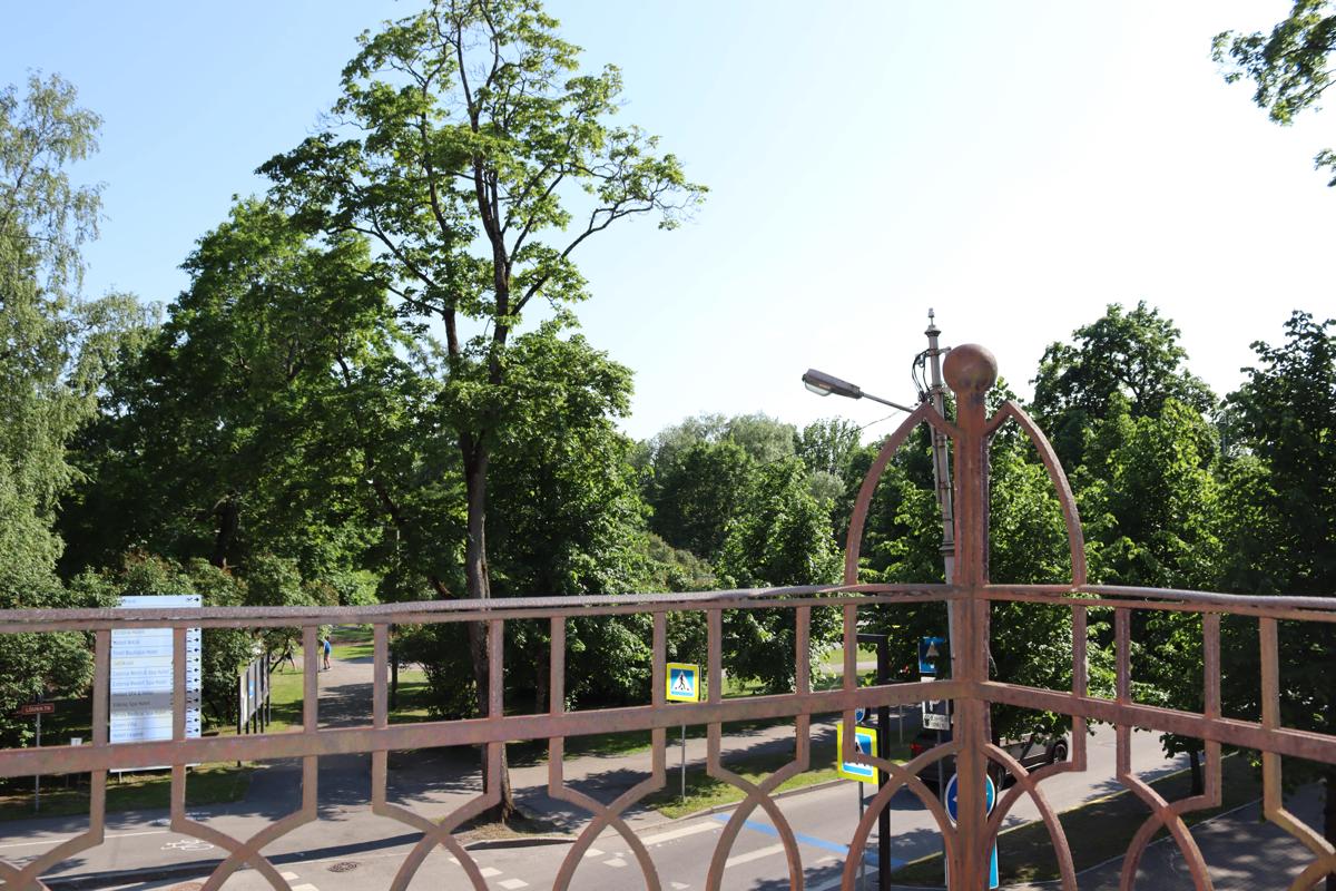 Hostel Louna photo 3