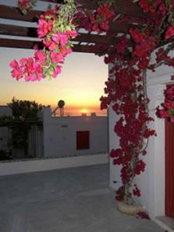 Villa Vasilis photo 2