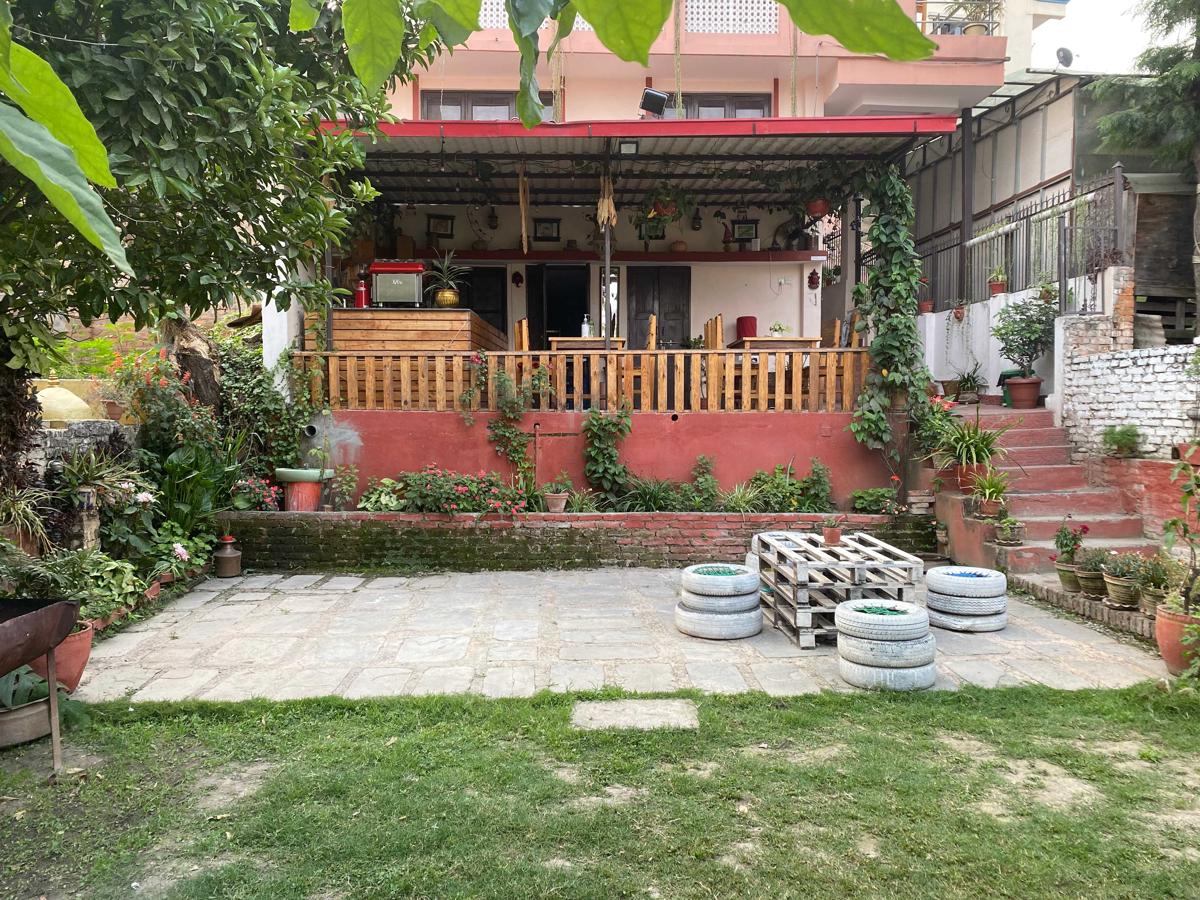 Birds Nest Hostel photo 1