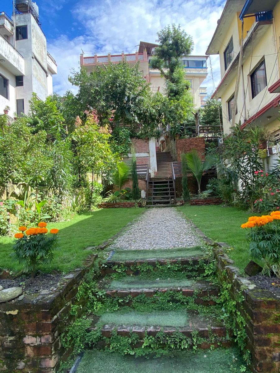 Birds Nest Hostel photo 2