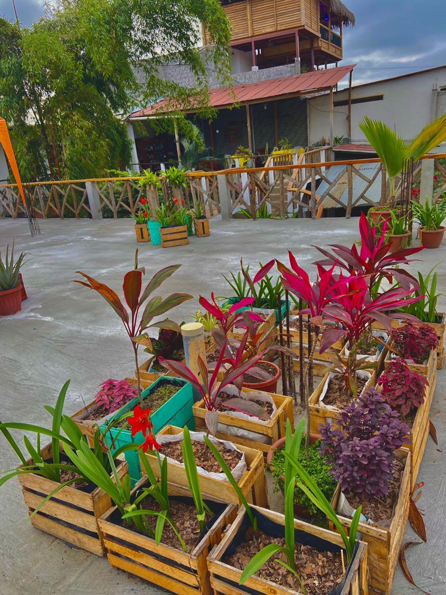 Hostal Machalilla photo 3