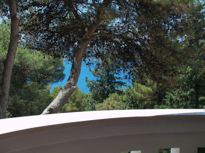 Villa Fani - Apartments and Rooms photo 2