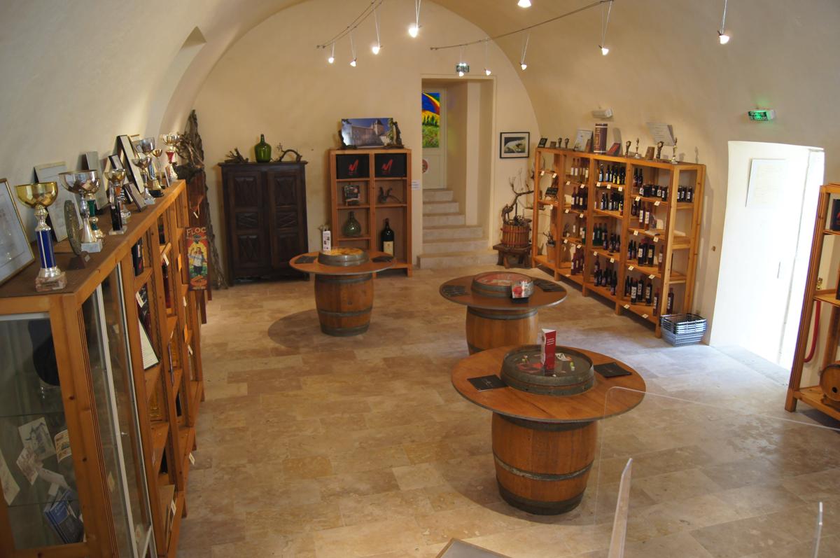 Château de Mons en Armagnac photo 4