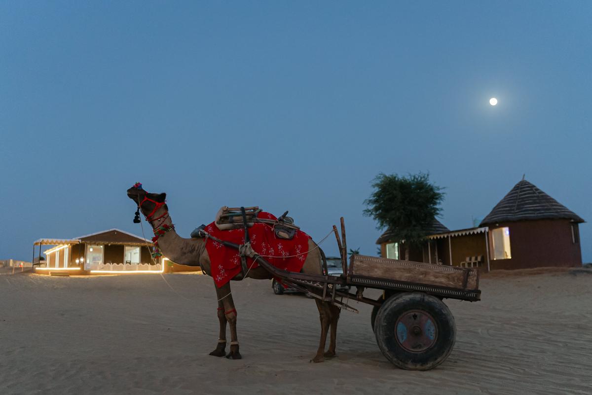 Golden Sands Desert Camp and Resort, Bikaner photo 3