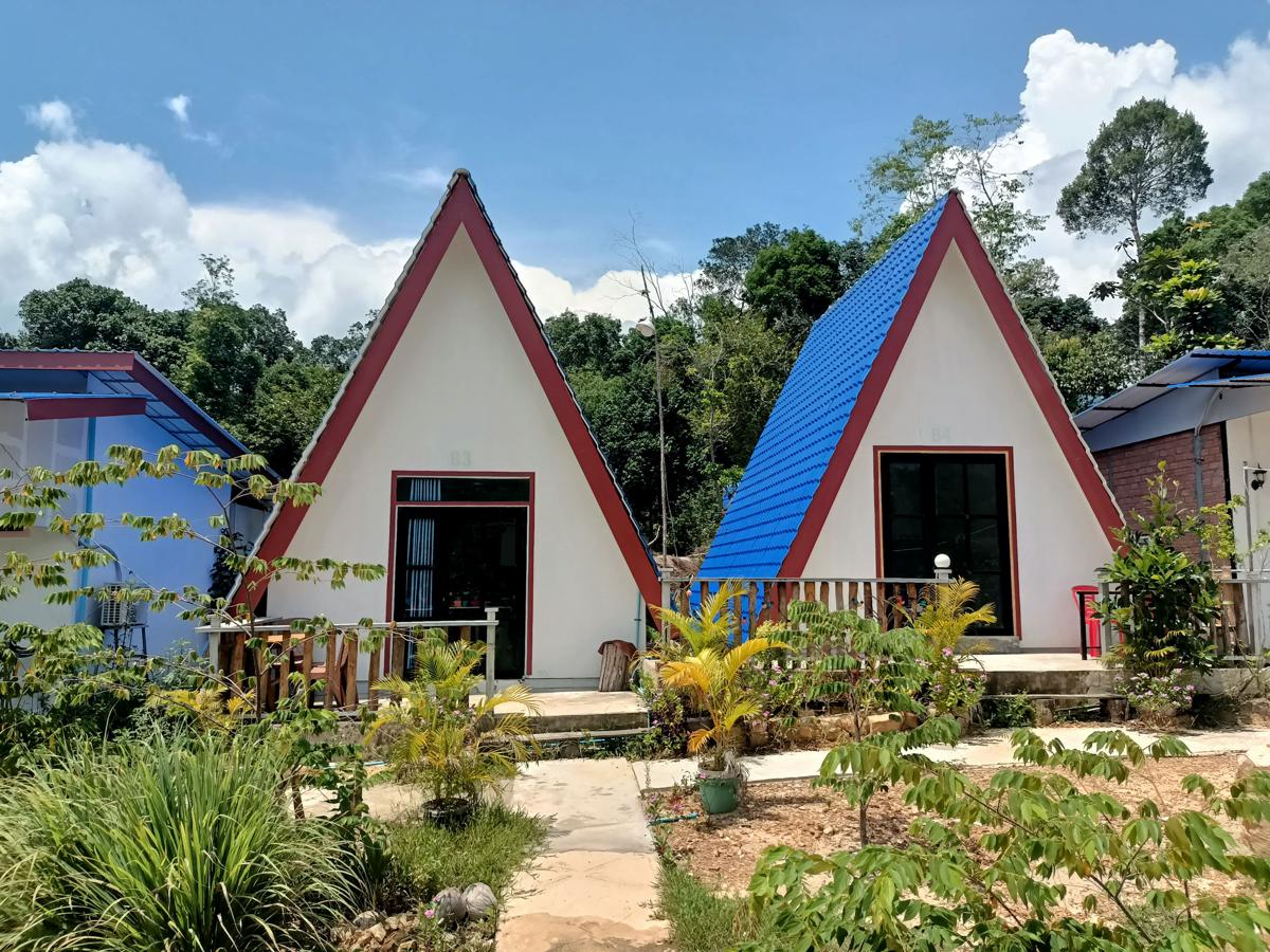 Blue Zone Hostel photo 1