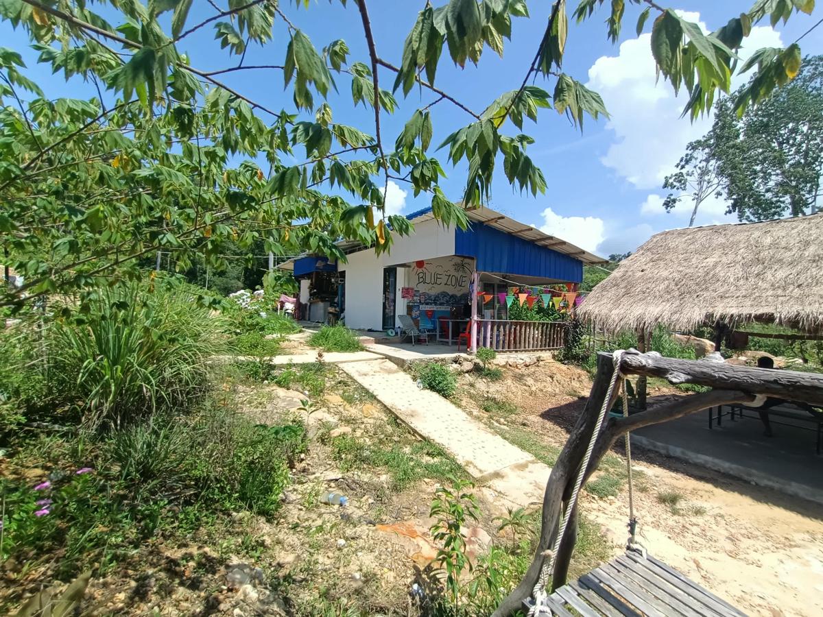 Blue Zone Hostel photo 2