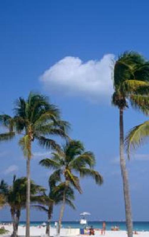 Hollywood Beach Hostel photo 3