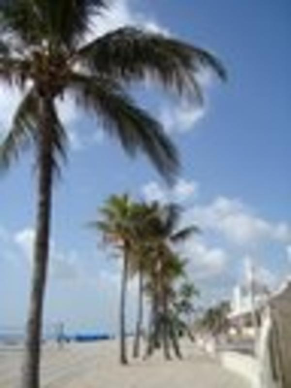 Hollywood Beach Hostel photo 4