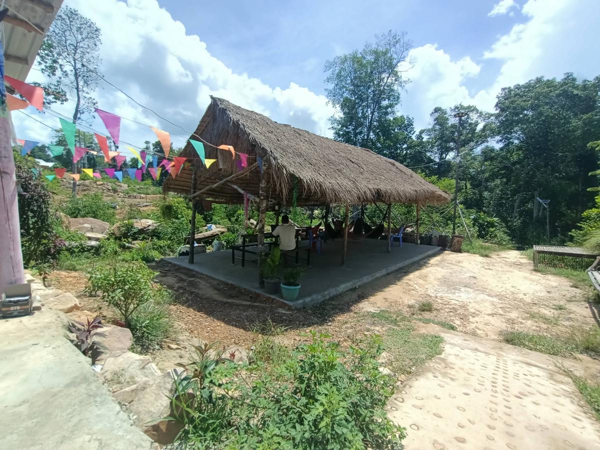 Blue Zone Hostel photo 3