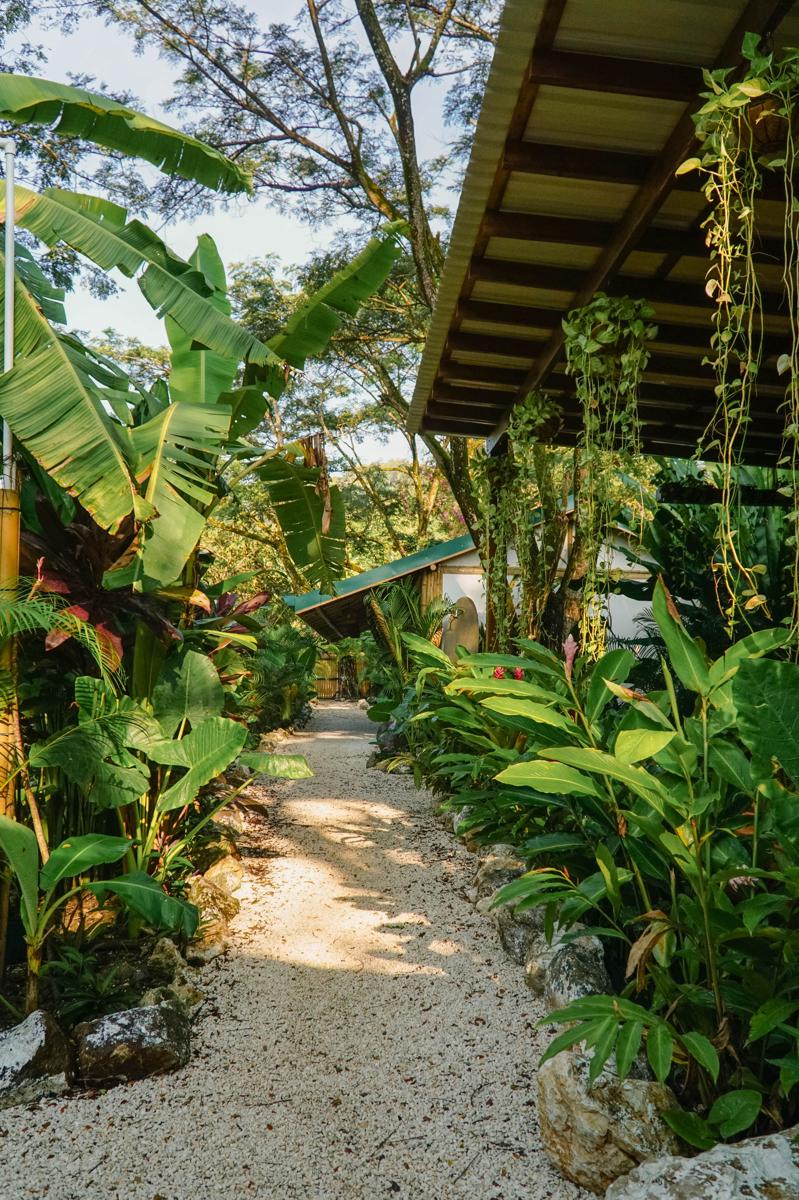 Dream Surf House Santa Teresa (Playa Hermosa) photo 3