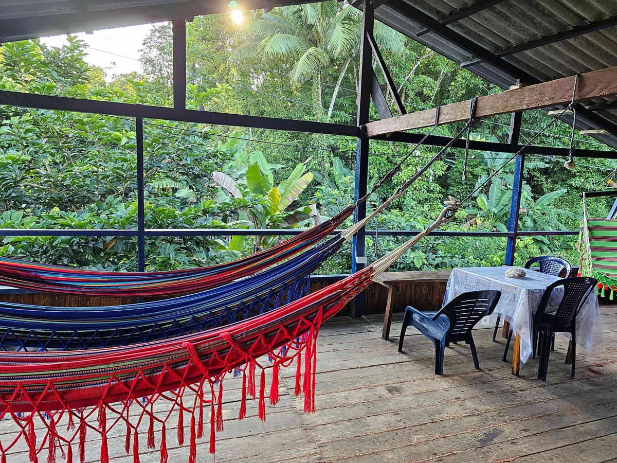 Hostel Herping Bahía Solano Tour photo 1