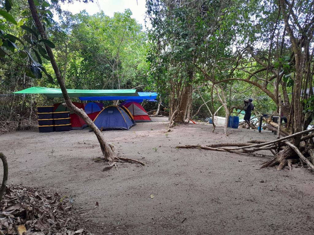Discover Coiba Panama Tour photo 3