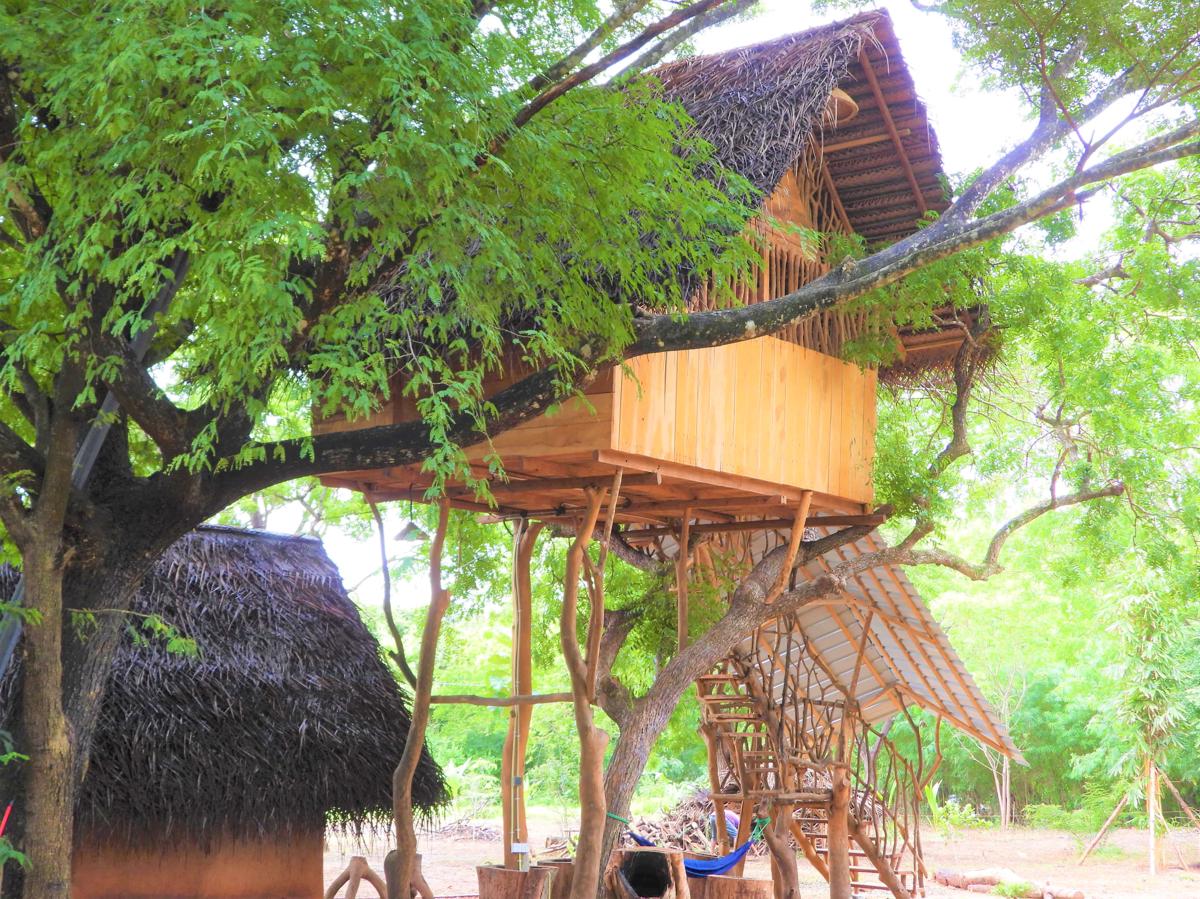 Yala Village Eco Tree House photo 1
