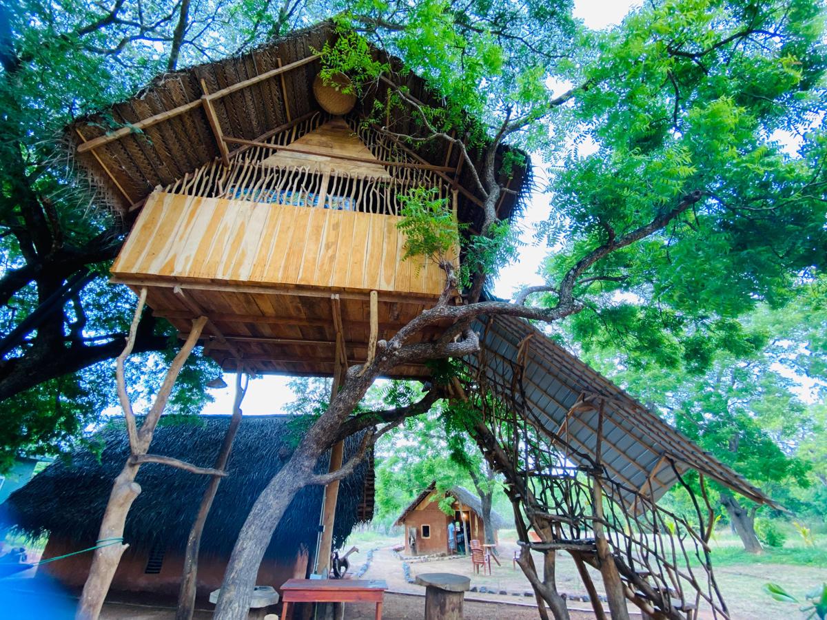 Yala Village Eco Tree House photo 2