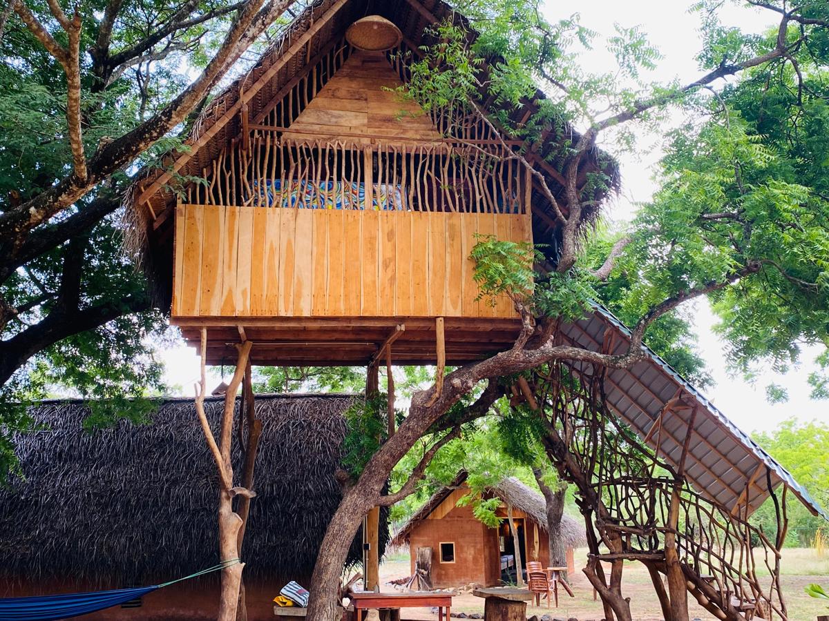 Yala Village Eco Tree House photo 3