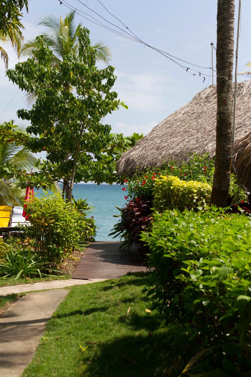 Isla Fuerte Ecolodge & Dive center photo 1