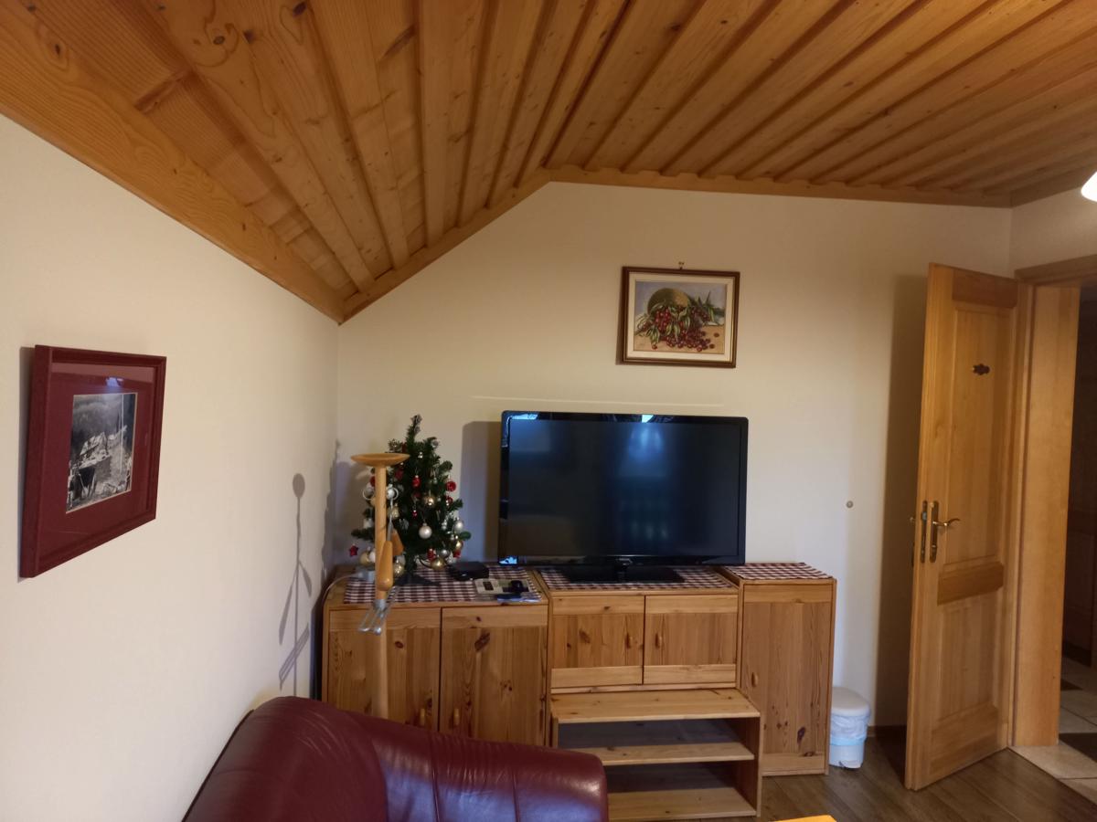 Apartma Zeleni Dragulj photo 4
