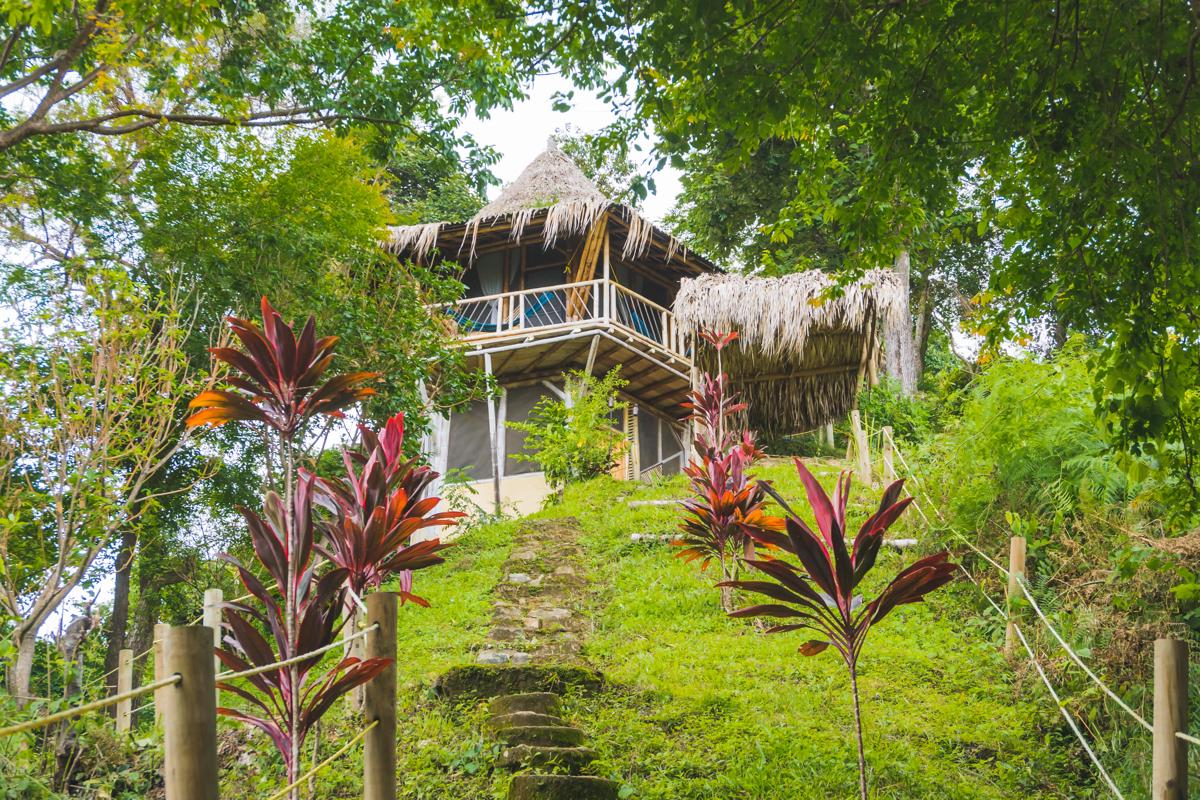 Minca Ecohabs Hotel photo 1