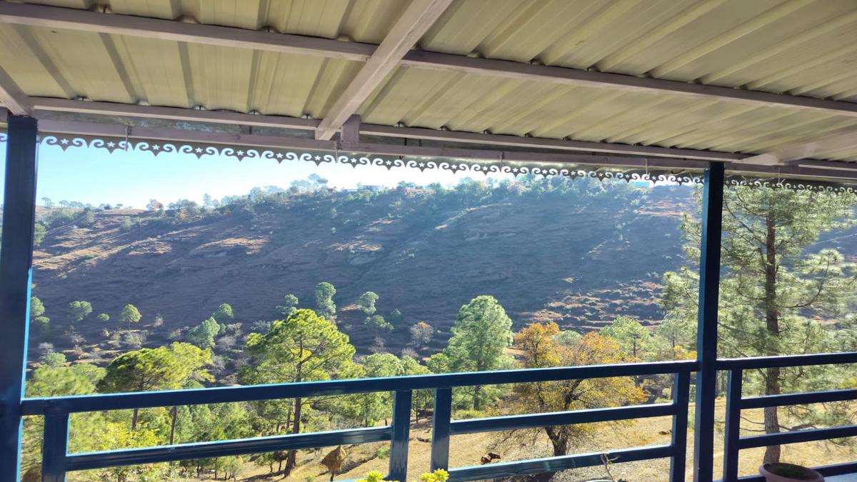 Nirvana Heights Kasar Devi photo 3