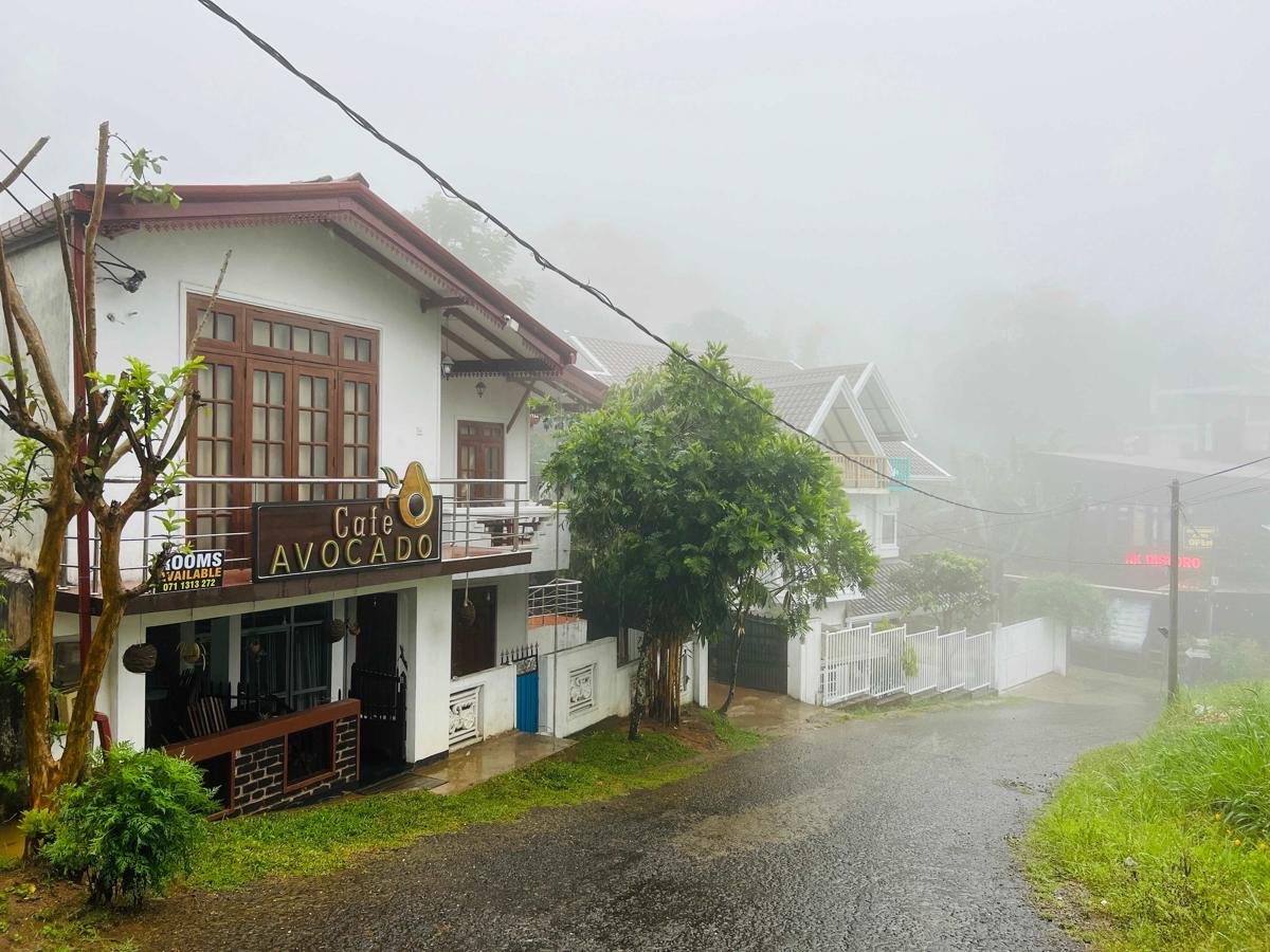 Avocado Hostel photo 2